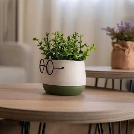 Erato 2 Cosy By Homesh 公寓 *